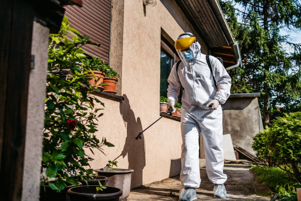 Best Pest Control Near Me in South Sumter, SC