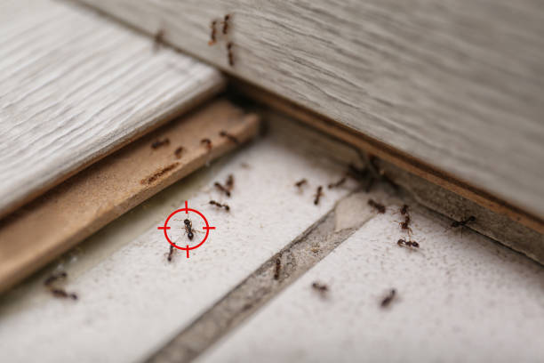 Pest Control for Restaurants in South Sumter, SC