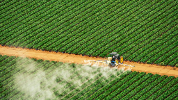 Professional Pest Control in South Sumter, SC