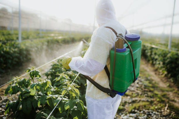 Best Mosquito Control Services  in South Sumter, SC